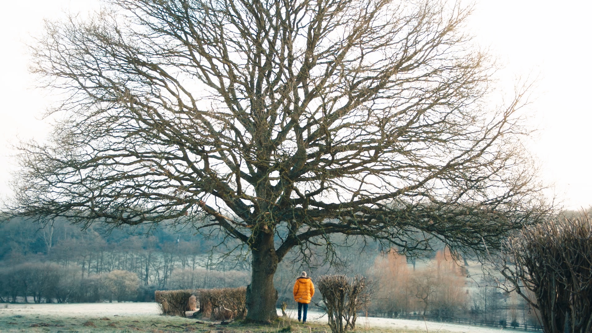 At Home on Channel 5 - Channel 5 Creative - image 5