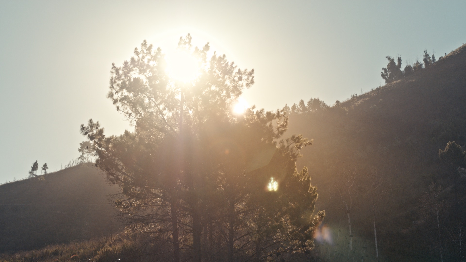 DarkFest - Aspect Media - image 4