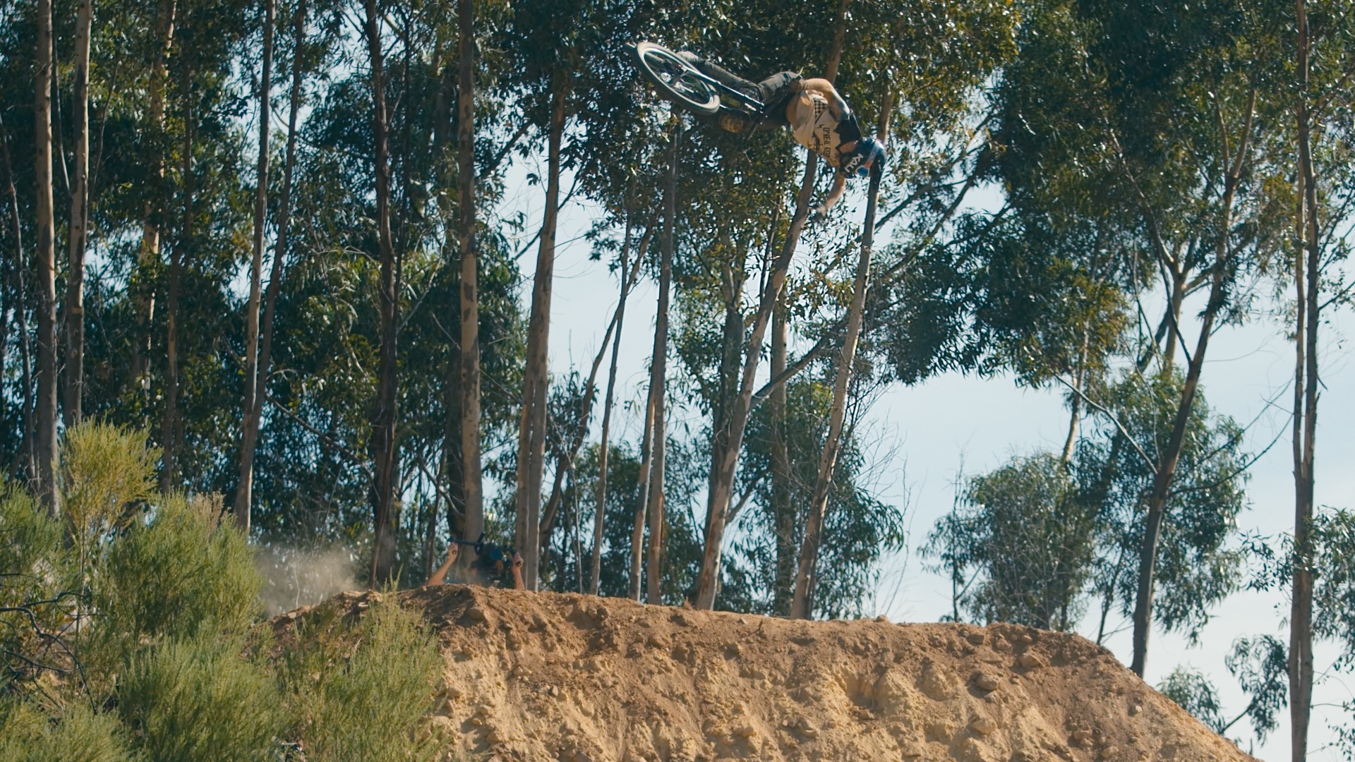 DarkFest - Aspect Media - image 7