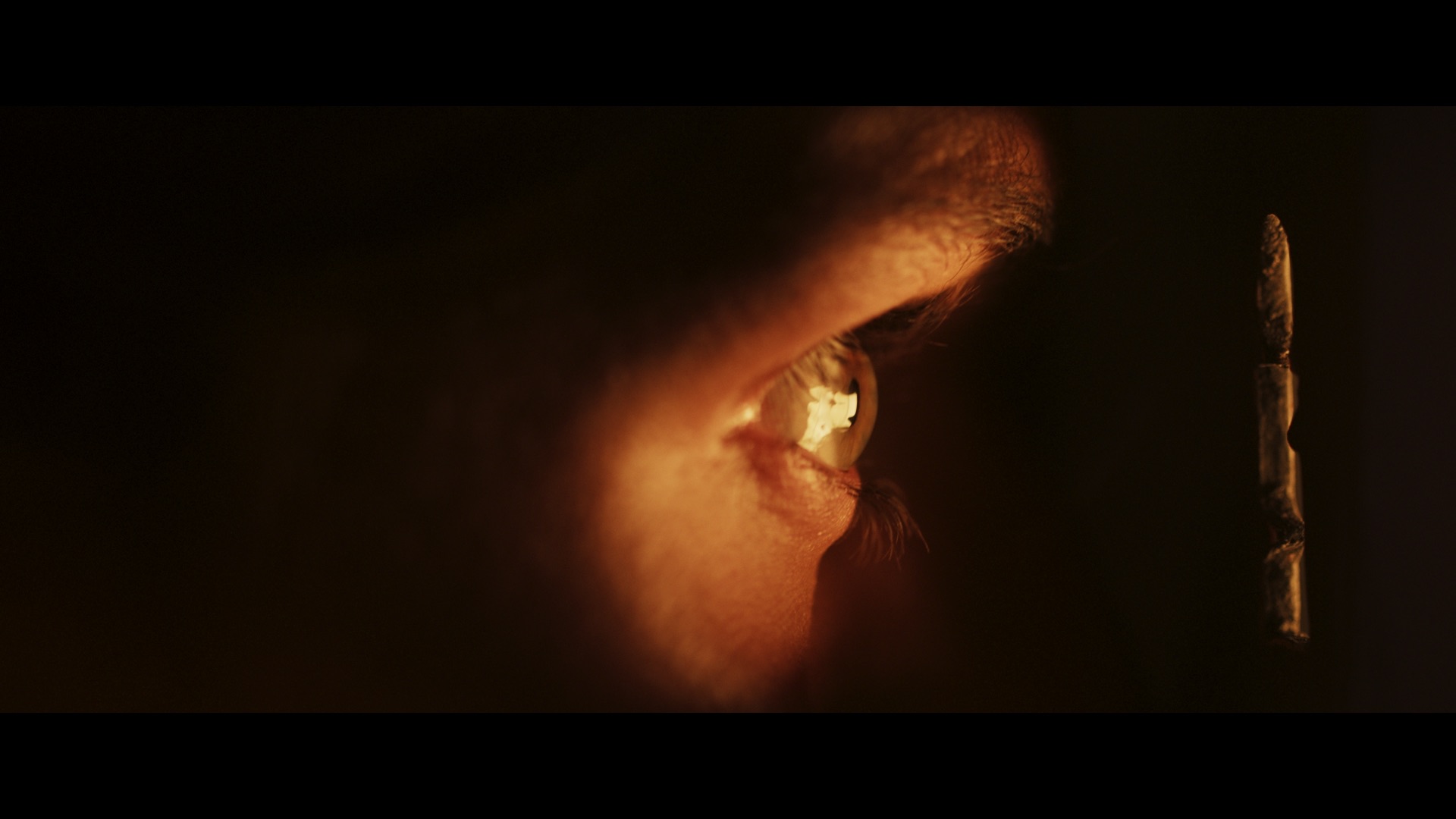 Hackett - The Gifting Machine - Electric Robin - image 6