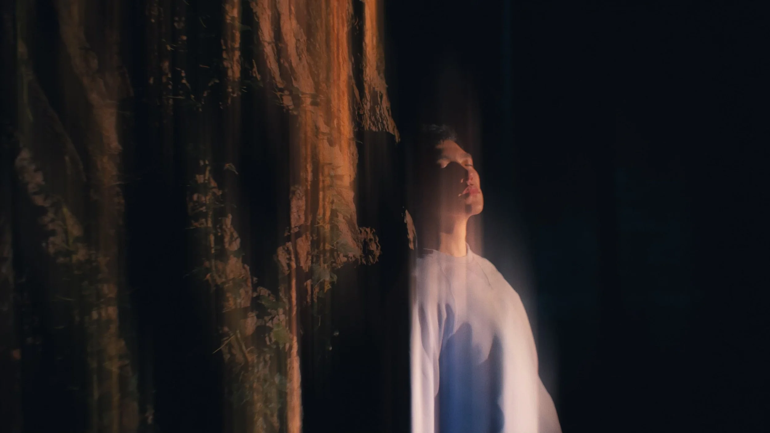 Otherlands - Eyebolls - image 4