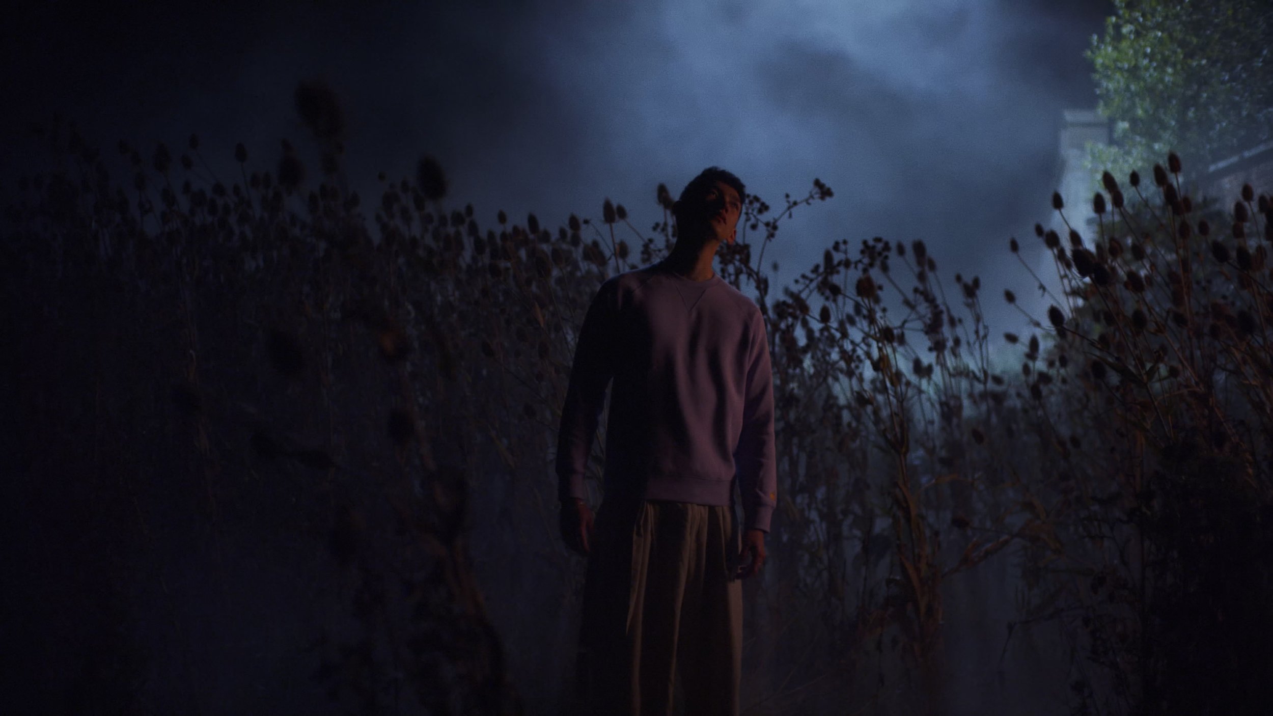 Otherlands - Eyebolls - image 6