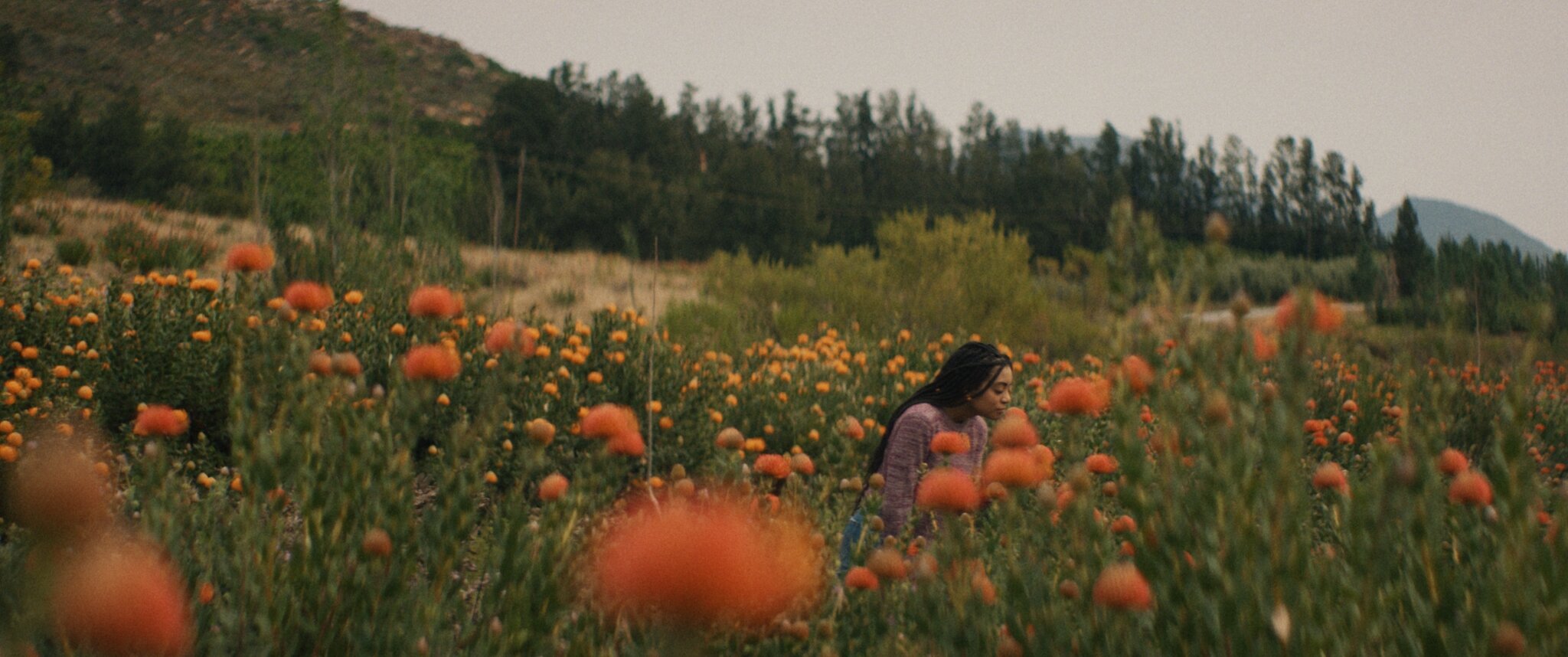 South African Tourism - DS Films x BBC Storyworks - image 10