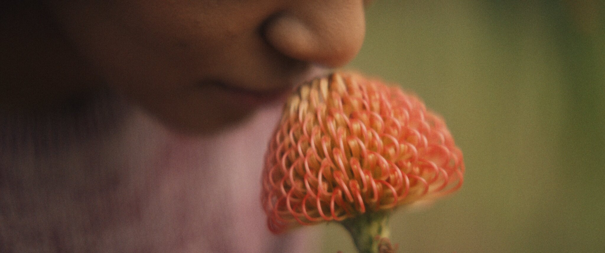 South African Tourism - DS Films x BBC Storyworks - image 8