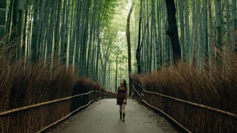 A Spirited Journey to Kyoto's Most Isolated Restaurant | CNN Create x Great Big Story