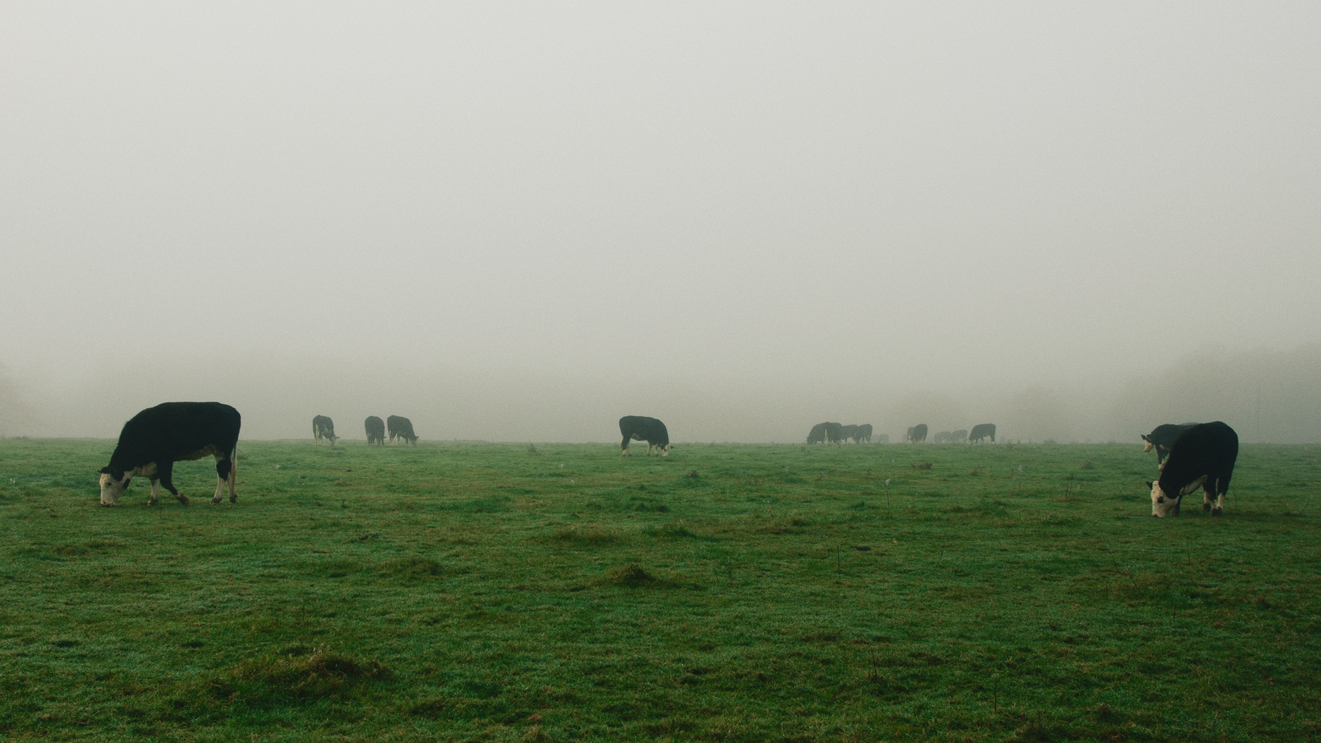 Time Matters - Kinesis Bikes - image 3