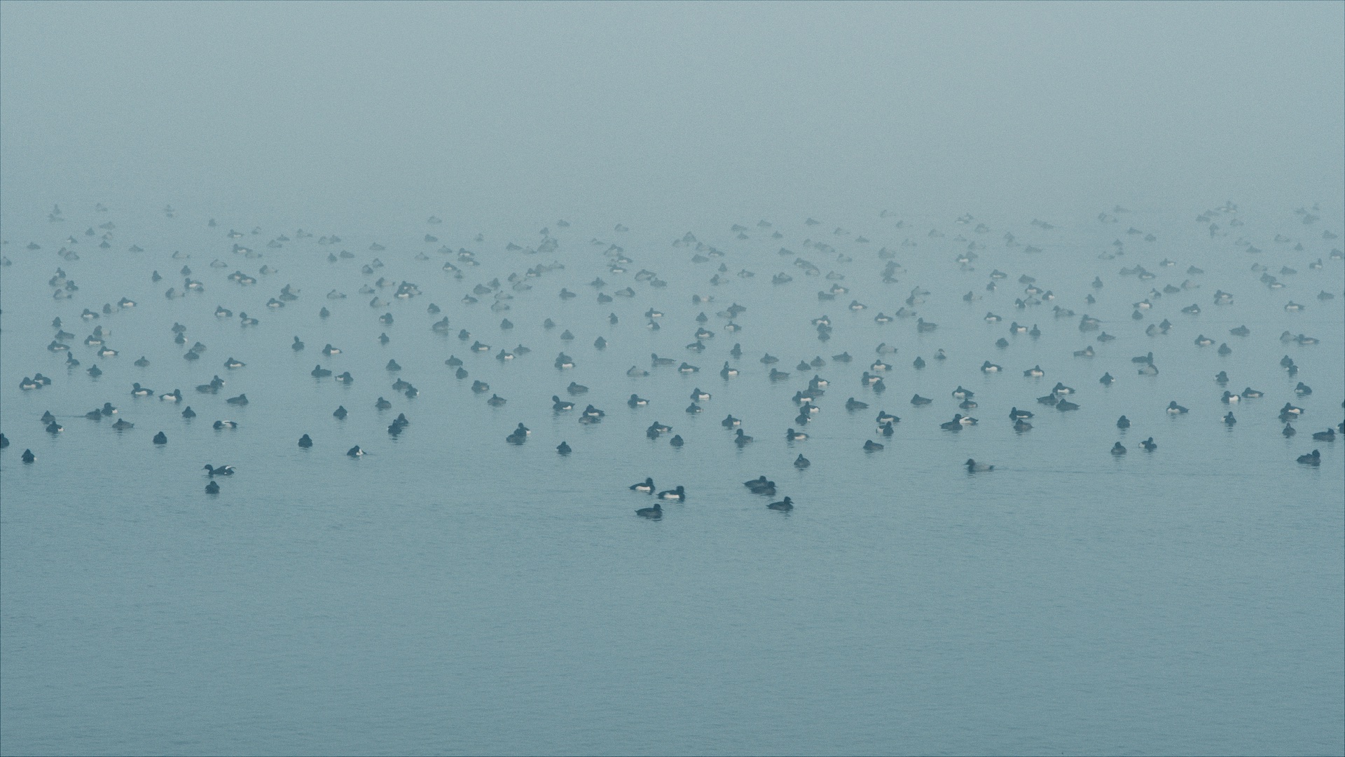 Time Matters - Kinesis Bikes - image 5