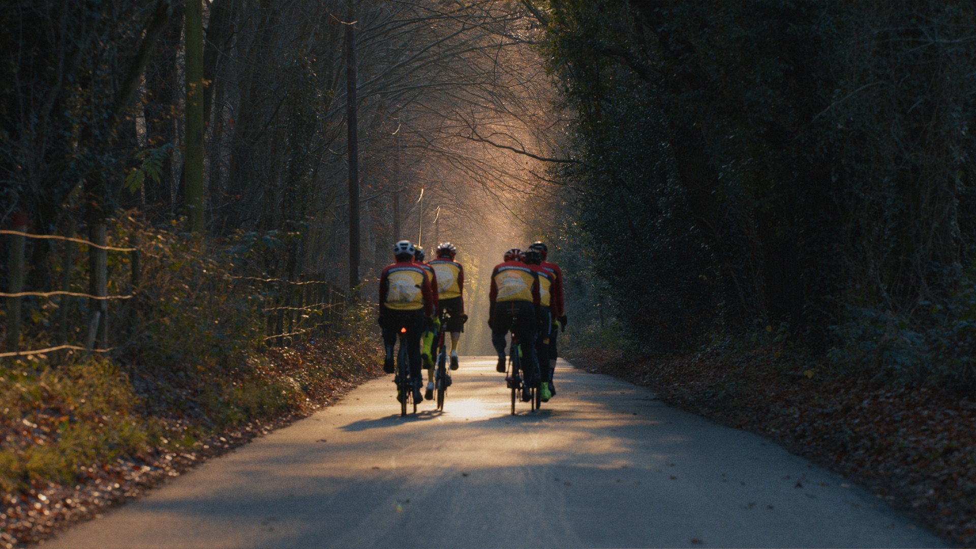 Time Matters - Kinesis Bikes - image 6